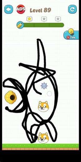 The 10 Most Evil Cats # short # cat advice