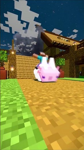 Foolish Axolotl compilation!