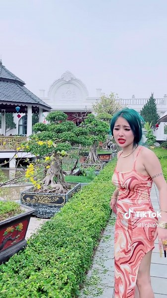 Exploring a Serene Asian-Style Garden