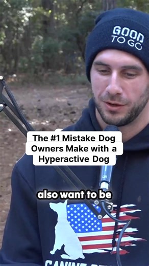 The #1 Mistake that Most People Make with a Hyperactive Dog? Too much physical exercise. They turn their dog into a canine athlete, making it harder to overcome their hyperactivity and satisfy their instinctual needs. Learn more on the dog training podcast Pack Talk Podcast 143 "Training Tips for Hyper Dogs: Managing High Energy & Hyperactivity" #dog #dogtraining #dogtrainer #dogtrainingpodcast | Canine Revolution Dog Training
