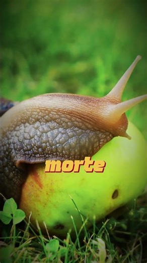 3 Criaturas REAIS que a Natureza Tornou Zumbis