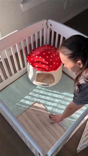 Oxana Peshchur on Instagram: "Манеж для щенка 🐾 Клетка всегда открыта, когда мы дома, тем не менее он сам идет туда спать, когда ему не с кем играть 💕 #dachshund #такса #puppysetup #miniaturedachshund #petcorner Puppy playpen setup, setting up puppy rest area, new puppy at home, cozy dog corner, puppy bed setup, miniature dachshund puppy in USA, organizing pet space, calm home routine, family life with puppy мини такса миниатюрная"