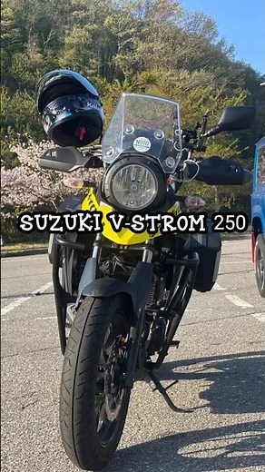 #vストローム250#スズキ#紹介動画