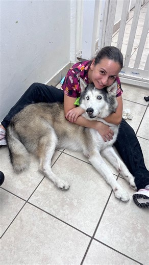 69 reactions · 7 comments | The BEST #groomer in town. Thank you for all you do. | Buddy Sherman | Facebook