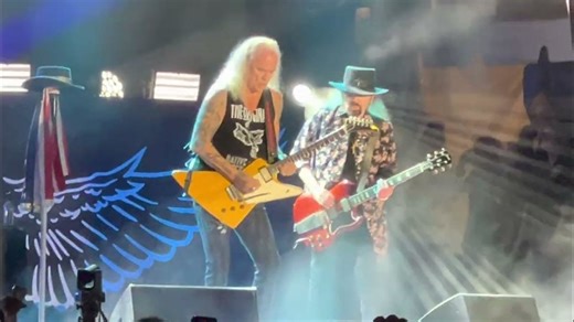 50 Best Rock Songs About Birds