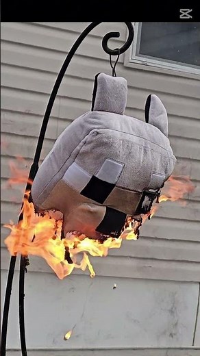 I Torched my Minecraft Wolf Plush!