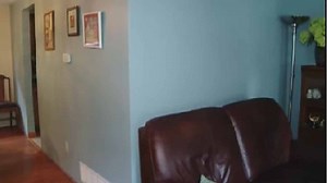 Do-it-yourself nightmare: Alarm clock stuck in wall has gone off for 13 years