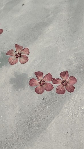 Raquel Salcedo on Instagram: "Estuve en la comarca 🍃🏞️ Esto es un mágico café que queda ubicado en Chiang mai, se llama 📍chom café. Si vas a Tailandia debes agregarlo a la lista de lugares por conocer✨"