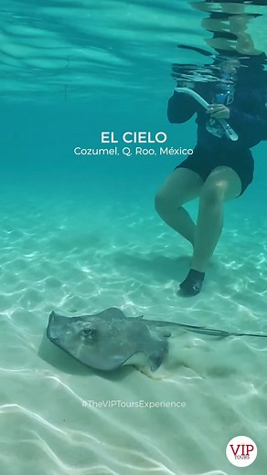 Descubre El Cielo en Cozumel: Tu Experiencia VIP