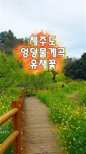 엉덩물계곡은 1년중 지금이 가장 메인 #엉덩물계곡 #제주가볼만한곳