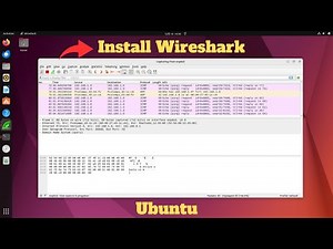 How to Install Wireshark on Linux (Debian/Ubuntu)
