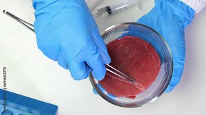 Hands of scientific researcher holding a sample of cultured meat in petri dish, cultivated meat, cellular agriculture, synthetic meat innovation concept flat lay video