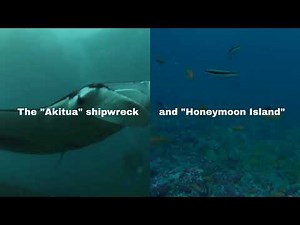 Top 5 Scuba Diving Locations in the Cook Islands