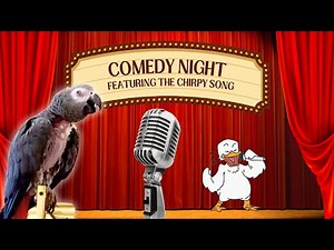 Shower Stage Show! Featuring Einstein Parrot's Chirpy Song