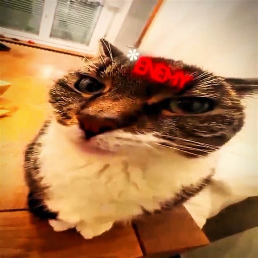 Enemy_spoted😂_#freefire_#funny_#shorts