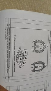 Breathing mechanism and gaseous exchange in the human body. The... | Filo