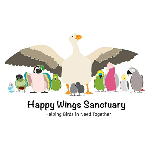 2.1K views · 253 reactions | Preening is the regular, essential grooming practiced by birds to keep their feathers clean, healthy, and strong. Mutual preening may occur between mates. This behavior is known as allopreening and studies have shown this strengthens their bond. Preening can also be done as a social interaction between non-mating birds who have developed a friendly relationship.  | Happy Wings Sanctuary | Facebook