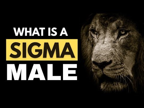 What is a Sigma Male? (Everything You Need To Know before 2026)