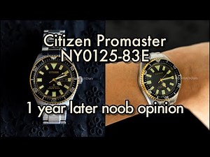 I Tested This $500 Citizen Diver For A Year - Here's What I Found