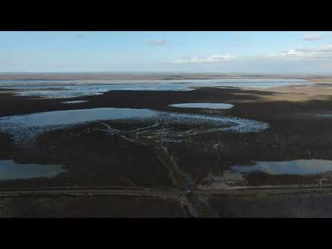 Pilot 5 January 2026