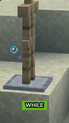 Minecraft's HIDDEN FINAL BOSS!?? #minecraft #minecraftfacts #factsadoutminecraft