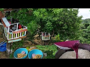 High up - Ribena dumpling w vegetables - cooking in a tree during hurricane Ian