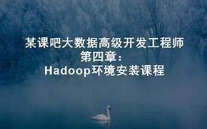 [2022]大数据高级开发04:Hadoop环境安装课程