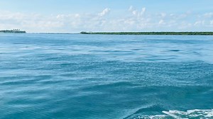 It was a beautiful evening; calm with a breeze. The perfect time for an evening stroll as I call it. A relaxing, easy run on the boat 😊 | Lisa Robertson