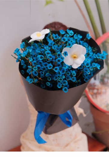 #CapCut lên mẫu thanh liễu xanh - biểu tượng của sự kiên định và niềm hi vọng bền bỉ 💙 #8thang3 #hoatangnguoiyeu #hoatuoisaigon #thanhlieu