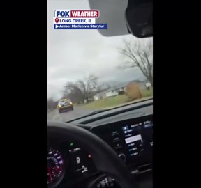 Tornado damages parts of Illinois following severe storms