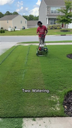 Chris Lazo | Lawn Care | Bermuda on Instagram: "Lawn care for beginners. Don’t fall for all the marketing hype and snake oil products. Just follow these six fundamentals and you’ll have a healthy nice looking lawn. #lawncare #lawn #lawnmowing #lawntips #lawntransformation #lawnmaintenance #lawnmowers #lawnmower #lawncarecommunity #lawncarenut #lawnstripes #lawngoals #lawnlife #lawnrenovation #lawnlovers"