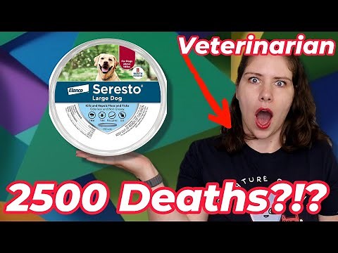 Seresto Collars - Safe or Suspect? What About Counterfeits? | Vet's Voice