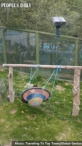 Panda Class: how to play on the swings | VideoChina