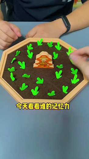 記憶力挑戰：聰明益智玩具大對決