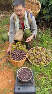#GreenFialdsHub #FarmingLife #AgricultureVibes #FarmersOfFacebook #HardWorkPaysOff #ReelItFeelIt | GreenFields Hub