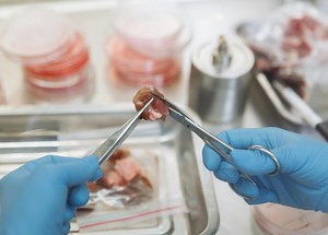 Cultivated Meat: Ethical Innovation or Vegan Contradiction?