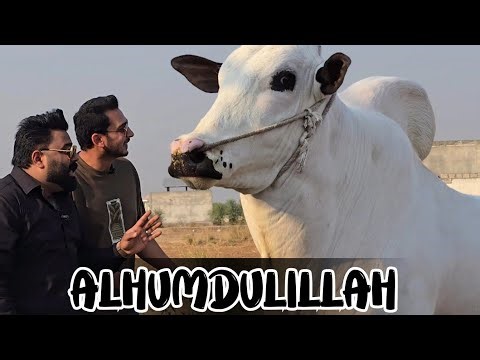 RAMZAN MUBARAK ✨️- Alhumdulillah Allah ka jitna shukr karain kum ha 🤲 - JNTV Vlogs