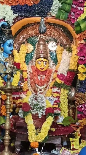 Annapurna Stotram | Goddess Annapurna Blessings for Food & Prosperity | Powerful Sanskrit Prayer