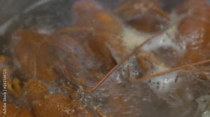 Crayfish cook in water with spices and herbs. Hot Boiled Crawfish. Lobster closeup.