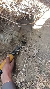 Treasure Detecting Pinpointer #tressuredetecting #pinpointerdetectingtreasure #thetreasureinunderground | Gold Field Hunting