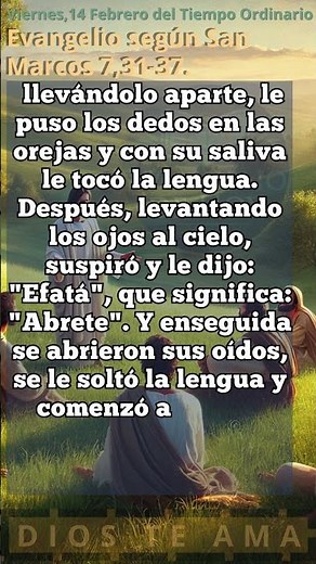Evangelio del Dia (Con Letra y Audio de fondo) EVANGELIO DE HOY #evangeliodehoy #evangeliodeldia