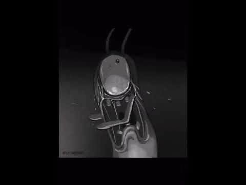 The Secret Formula #spongebob #spongebobmemes