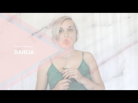 The Symbolism of Dahlia Flowers