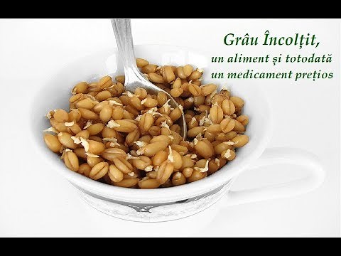 Grâul Încolțit, un aliment și totodată un medicament prețios (Leacuri&Sfaturi Despre Sanatate)