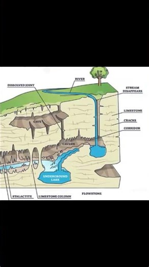 Limestone & Acid Rain