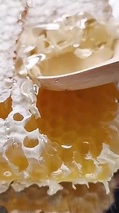 Yummy yummy yummy Honey Comb💓💯🐝 at Honey House Honey Bee Farm 🐝🐝🐝 Sa Lahat po ng mg Beesit 👌💯🍯🐝🐝 🐝 🐝 FREE Taste of Honey Comb & Free Farm Tour para sa Lahat 💓💯🍯🐝🐝🐝🐝 Navigate Us thru Waze Or Google Map 🐝 🐝 Beesit Now 💯 🍯 💓 🐝 🐝 🐝 🐝 🇵🇭 #fdaapprovedhoney #FDAApprovedandNotified #HoneyNgBayan #HoneyHousePhNumbawan #PureHoney #NotoCovid19EatHoney #ShippingNationwide #FreeTasteOfHoney #FreeFarmTour #BeeAResellerNow #BeeADistributor #BeesyAsABEE | Honey House Honey Bee Far