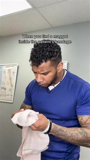 Dealing with Maggots in Healthcare: A Physical Therapy Perspective