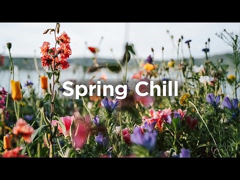 Spring Chill Mix 🌸 Relaxing Tracks for Your Springtime 🌼