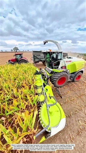 Amazing Corn Silage Harvest! CLAAS Forage Harvester & John Deere Tractor Working Together