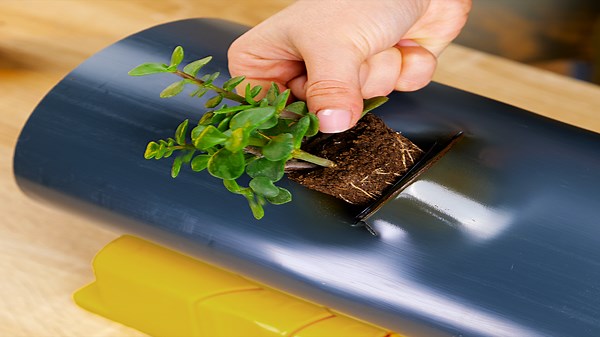 Flower Arranging Hacks Only Professionals Know!